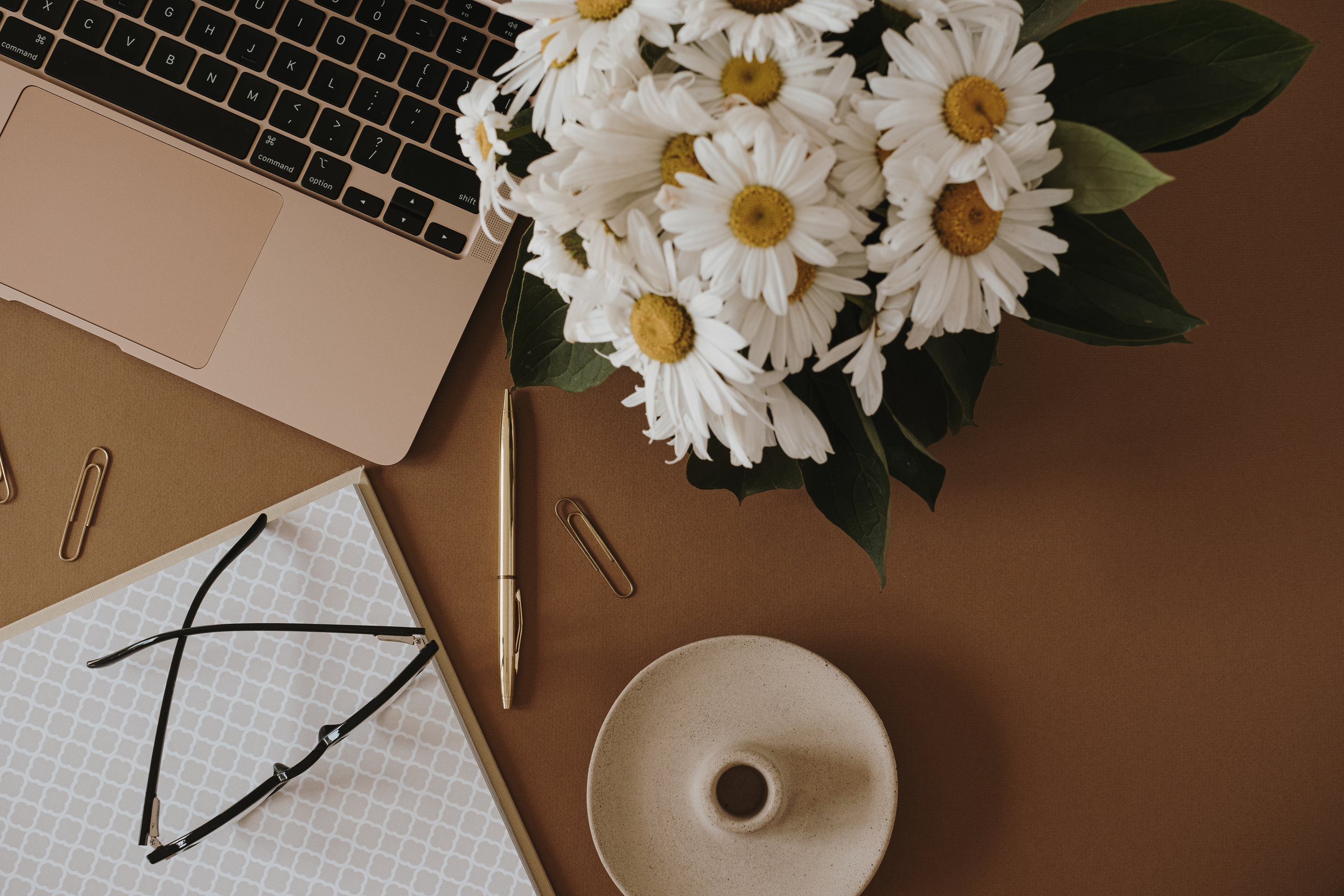 Laptop, Notebook, Eyeglasses, Vase, Pen, Clips, and Flowers
